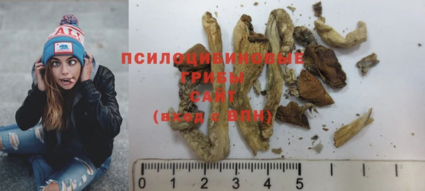 первитин Богородицк
