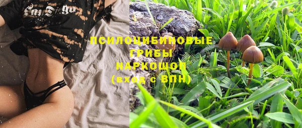 первитин Богородицк