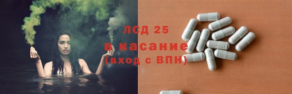 ПСИЛОЦИБИНОВЫЕ ГРИБЫ Богородск