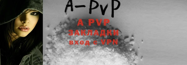 спайс Богданович