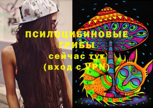 ПСИЛОЦИБИНОВЫЕ ГРИБЫ Богородск