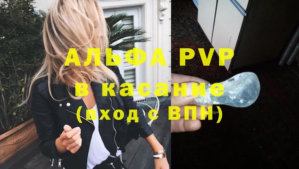 спайс Богданович