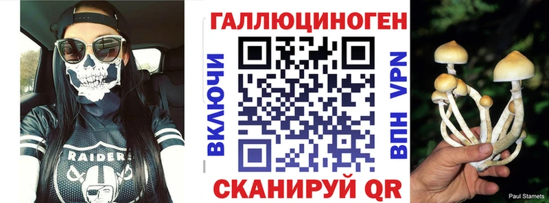 Псилоцибиновые грибы Psilocybine cubensis  OMG как войти  Фёдоровский  где продают  